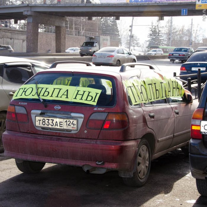 «За три дня — 38 тысяч»