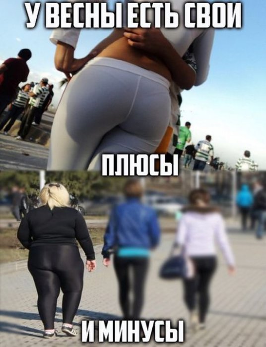 Забавные картинки