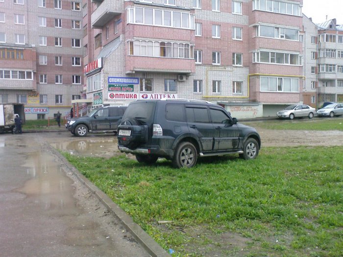Опрос про машины на газонах
