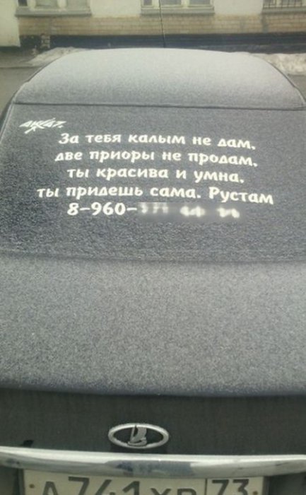 Забавные картинки
