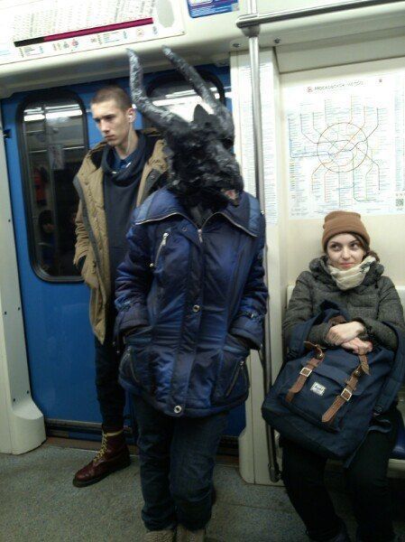 Забавные картинки