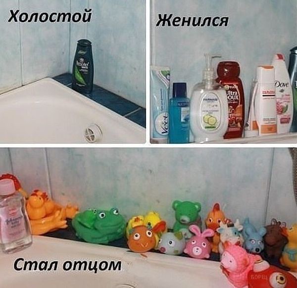 Забавные картинки