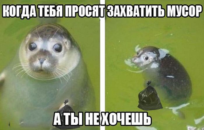 Забавные картинки