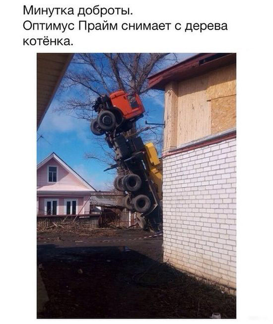 Забавные картинки