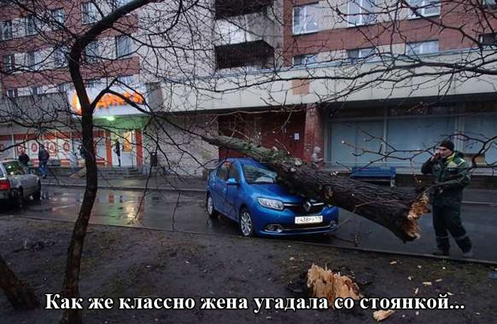 Забавные картинки