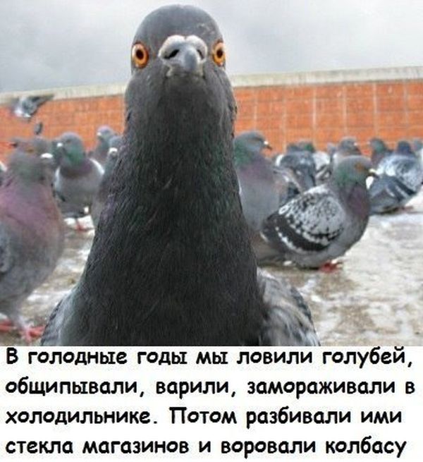 Забавные картинки