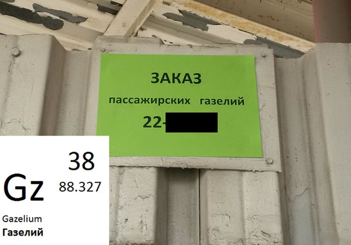Забавные картинки