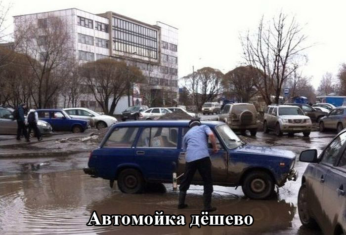 Забавные картинки