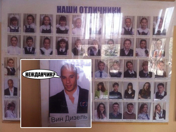 Забавные картинки