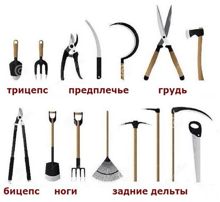 Забавные картинки
