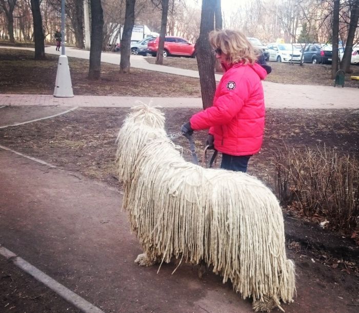 Забавные картинки