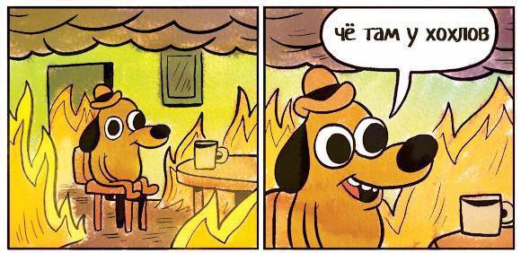 Мем: Что там у хохлов Мем: Что там у хохлов
