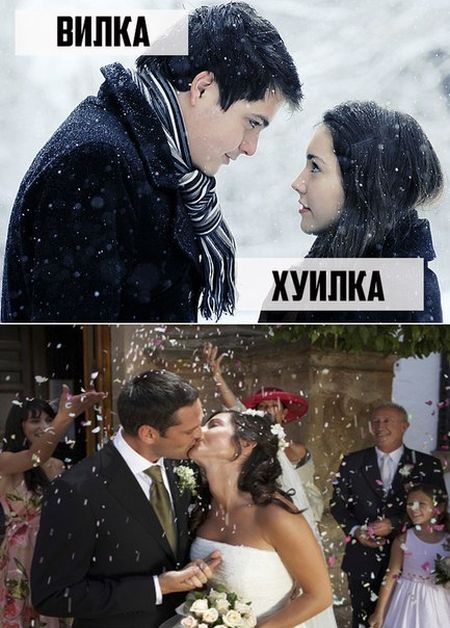 Забавные картинки