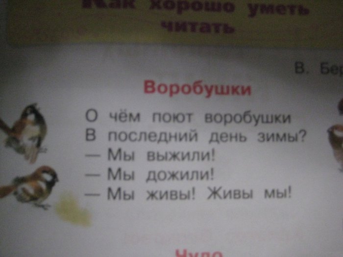 Забавные картинки