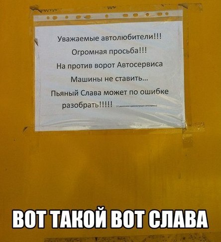 Забавные картинки