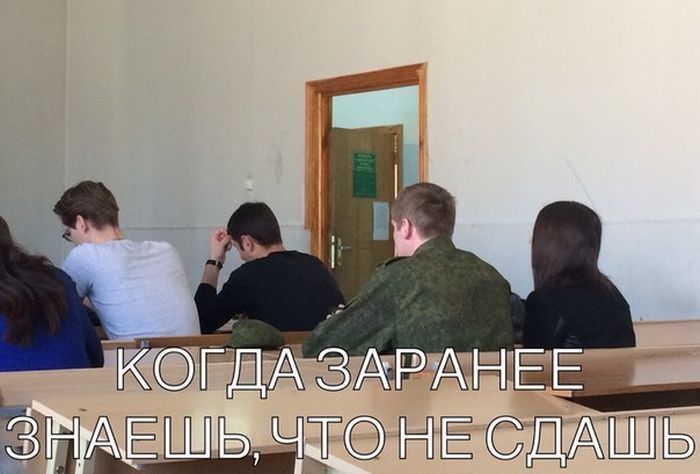 Забавные картинки