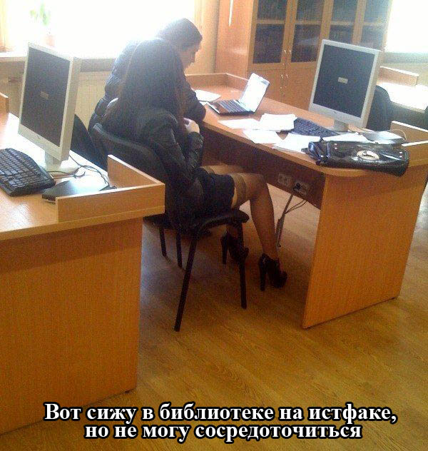 Забавные картинки