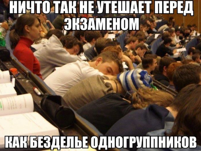 Забавные картинки