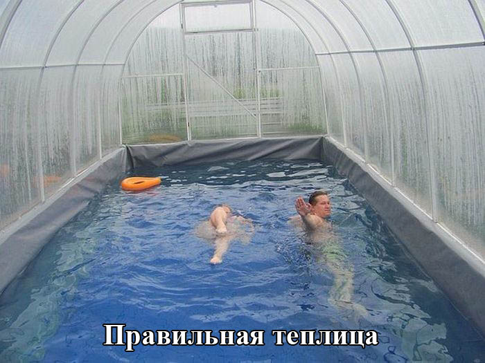 Порция картинок