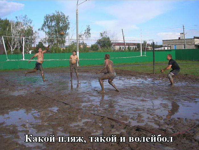 Порция картинок