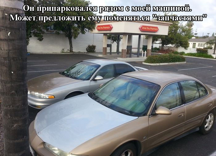 Забавные картинки