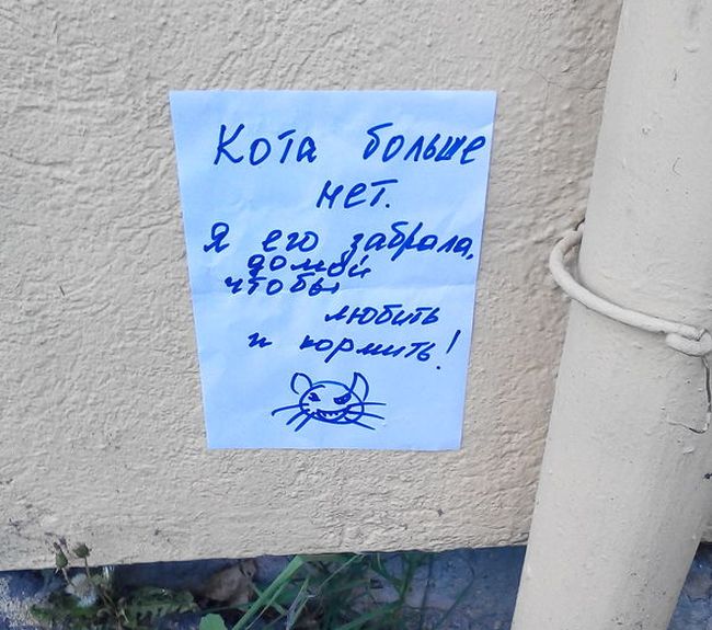 Забавные картинки