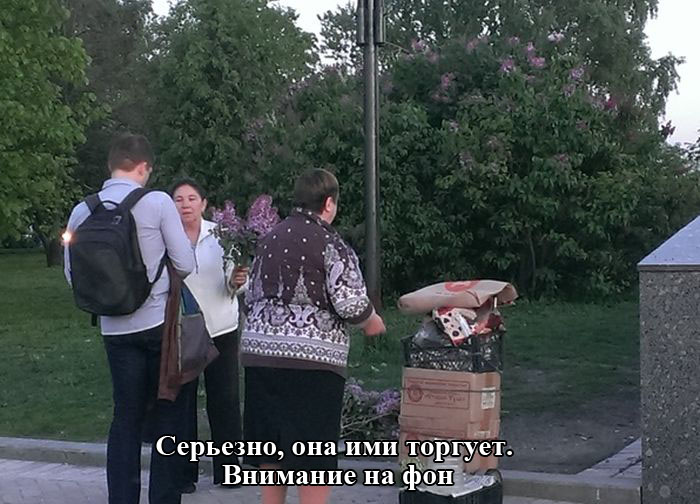 Забавные картинки