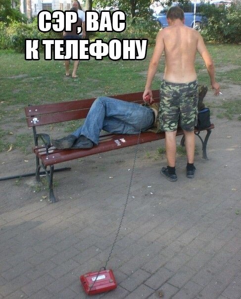 Забавные картинки