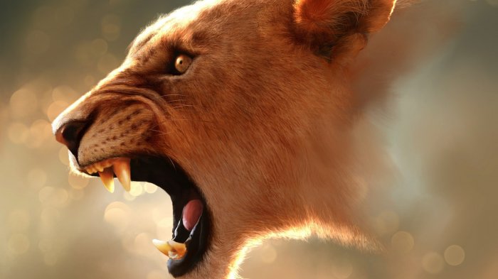 Обои на рабочий стол / HD Computer Wallpaper 100