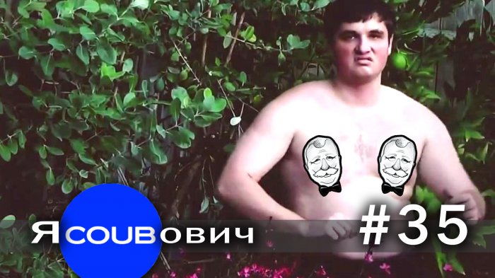 яCOUBович - лучшие coub #35