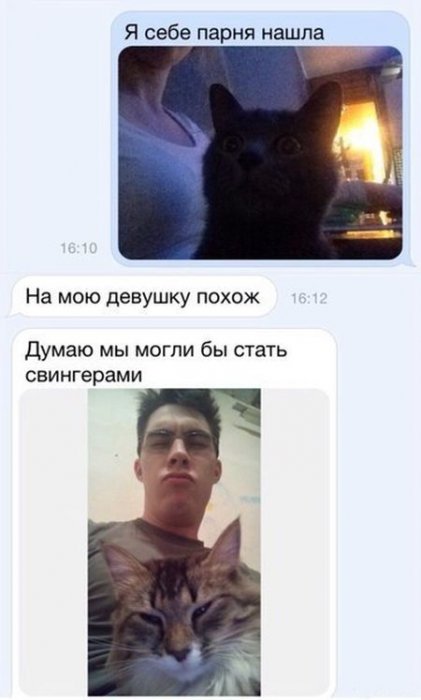 Порция картинок