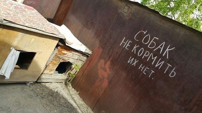 Забавные картинки