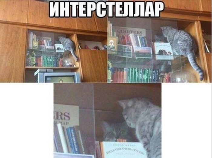Забавные картинки