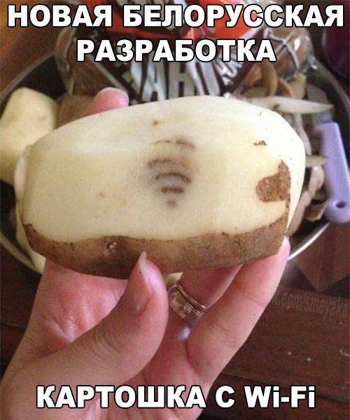Забавные картинки