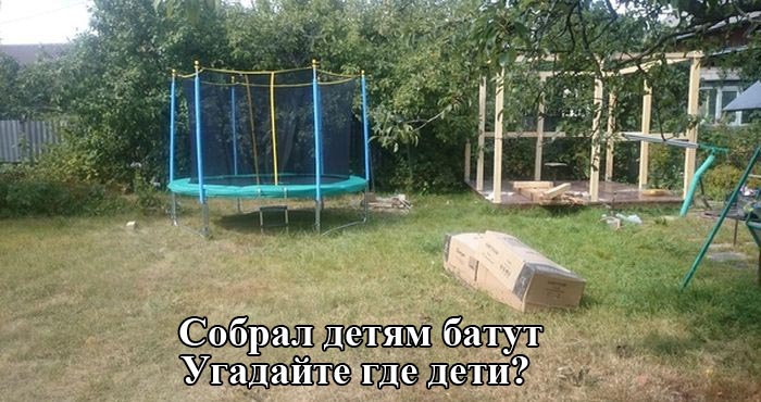 Забавные картинки