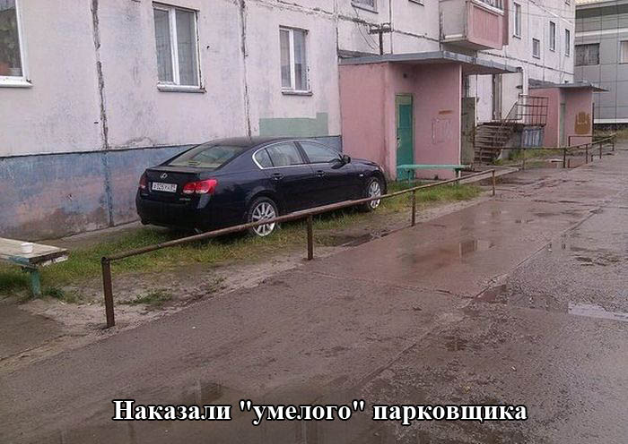 Порция картинок
