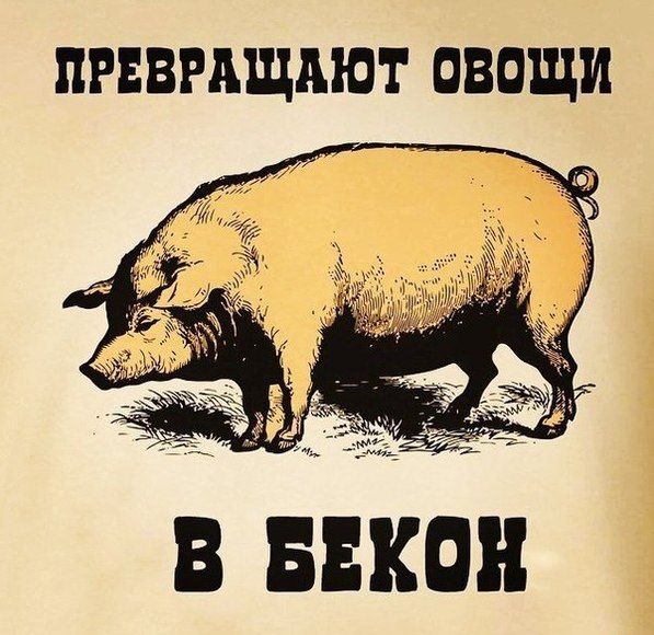 Порция картинок