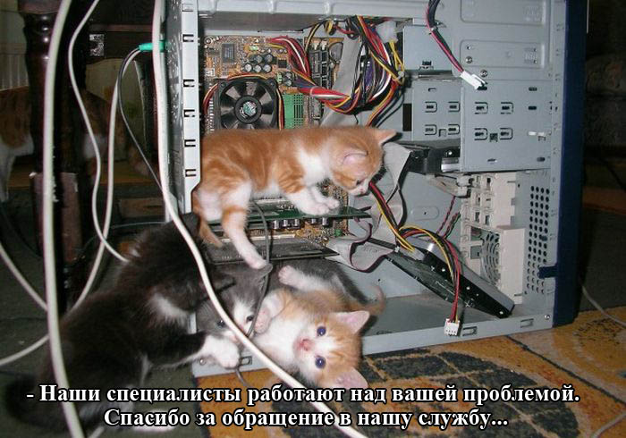 Порция картинок