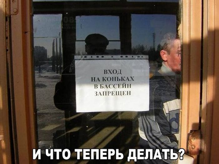 Порция картинок