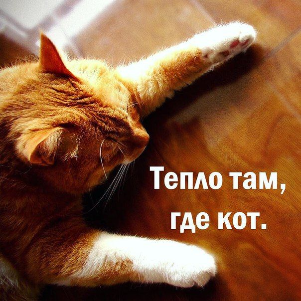 Порция картинок