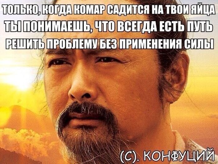 Порция картинок