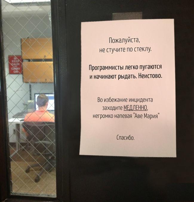 Порция картинок