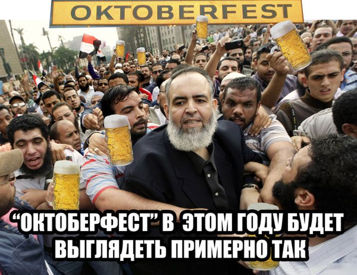 Порция картинок