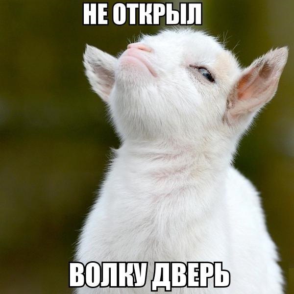 Порция картинок