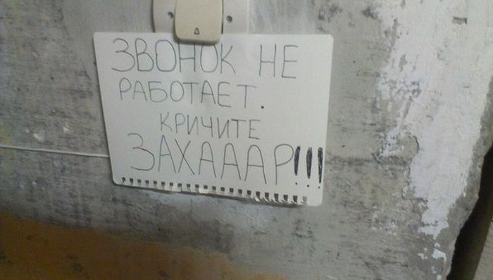 Порция картинок