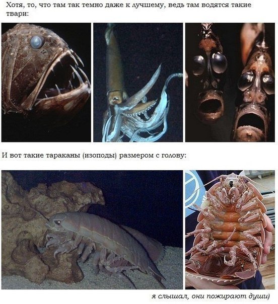 Об океане