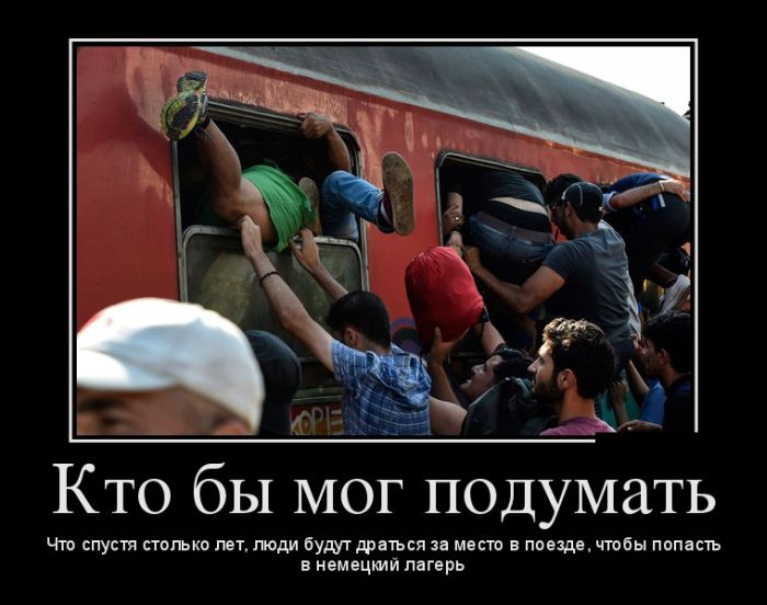 Демотиваторы