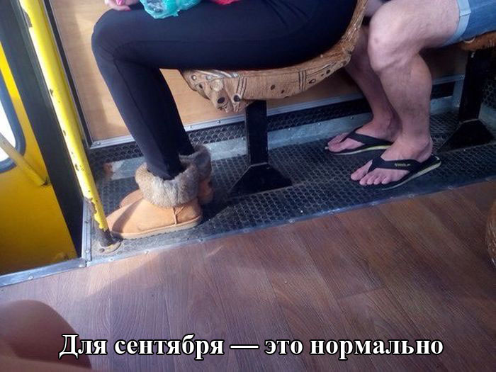 Порция картинок
