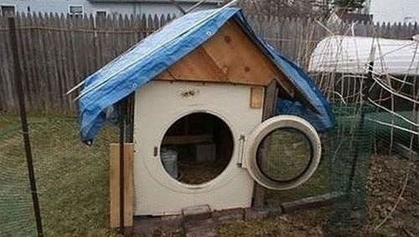 немного картинок