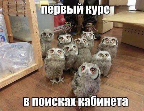 немного картинок